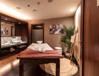 布拉迪斯拉發喜來登酒店 - SPA