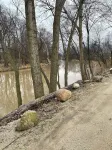 Cozy cabin,master and loft w2 twin beds atop the scenic portage,deckand fire pit - 2-Star