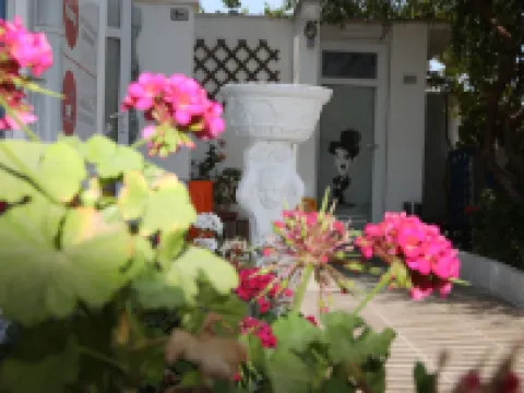 Mavi Pansiyon & Restaurant Hotels in Didim