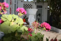 Mavi Pansiyon & Restaurant Hotels in 