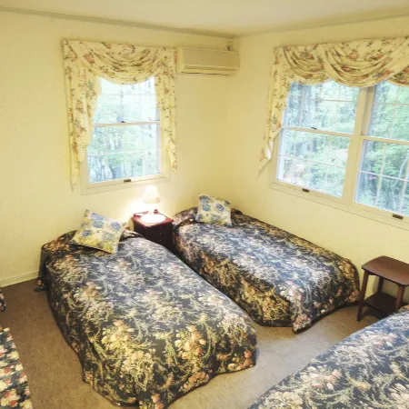 Cozy Inn Antique