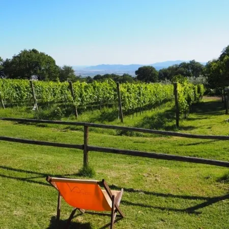 Valdonica Winery Fine Dine & Wine Hotel