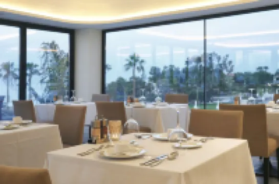 Sunrise Jade - Adults Only