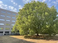 Residence Hotel Torino Uno Các khách sạn ở Turin