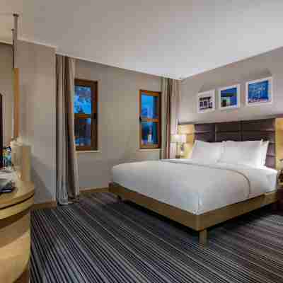 番紅花盧希爾頓花園飯店 Rooms