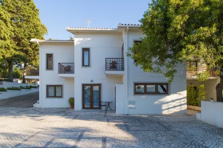 Aires da Serra Hotel Отели в г. Golega