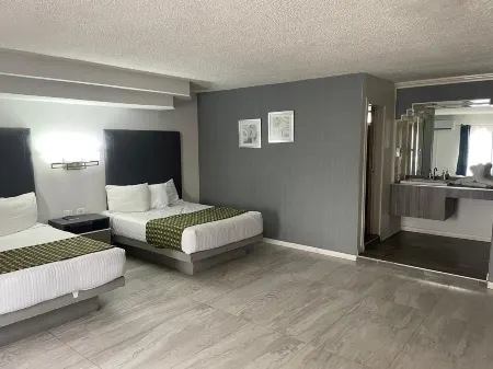 Hotel Flamingo