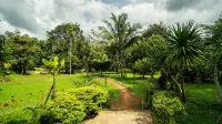 Baan Khaosok Resort Các khách sạn gần Vườn quốc gia Khao Sok