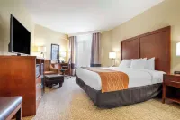 Comfort Inn & Suites Daphne Spanish Fort - Mobile East Hotel di County Baldwin