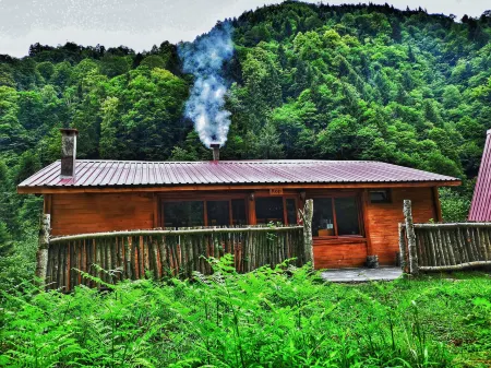 Kotit Ayder Bungalov & Restaurant Отели в г. Guroluk Koyu