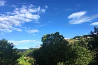 Green Hill Rest Camp Hotels in Ryale