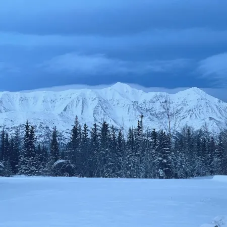 Mountain Views at Red Fox Cabin