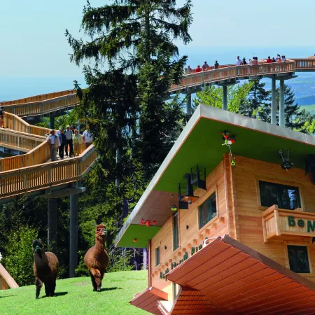 Hotel Bayerischer Wald