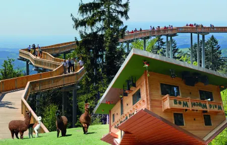 Hotel Bayerischer Wald