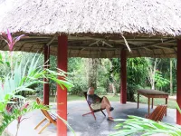 Crystal Paradise Resort Ξενοδοχεία στην πόλη San Ignacio