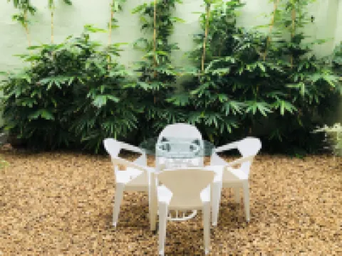 ทรอปิก อินน์ - เมาท์ ลาวิเนีย โรงแรมในเมานต์ลาวิเนีย