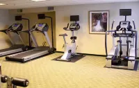 Ann Arbor Regent Hotel and Suites - Gym