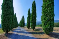 Holiday Home Casale Giulio by PosarelliVillas - 4 estrellas