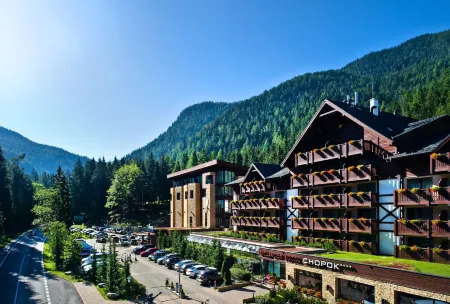 Wellness Hotel Chopok Отели в г. Демановска-Долина