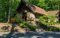 Blue Ridge Bear Necessitates Cabin Retreat w/ VIEWS! Hotels near Thunder Hill Overlook