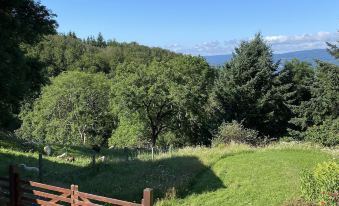 Chambre D hôtes la Vaisse