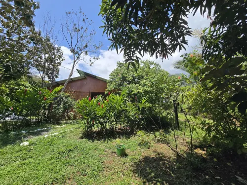 Boca Tapada Rainforest