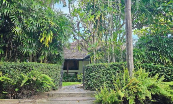 Havelock Place Bungalow