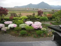 Farm Guest House Yagiyakata Hotels in Daisen