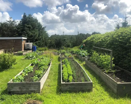 Noah's Ark Hotels in Thisted Municipality