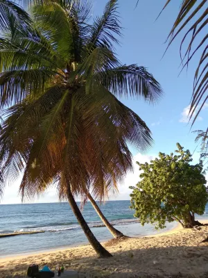 Honiiwell Rooms and Suites