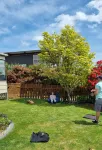 The Bach in old Wharewaka well located for a fabulous lake holiday.