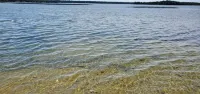 Cozy 2 bed rooms with bunkie cottage. 20 mins way from tobermory.