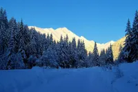 Cozy vacation apartment at 1420m altitude in the middle of nature on an organic farm Các khách sạn ở Krakauhintermuhlen