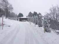 Chalet lovers in Switzerland