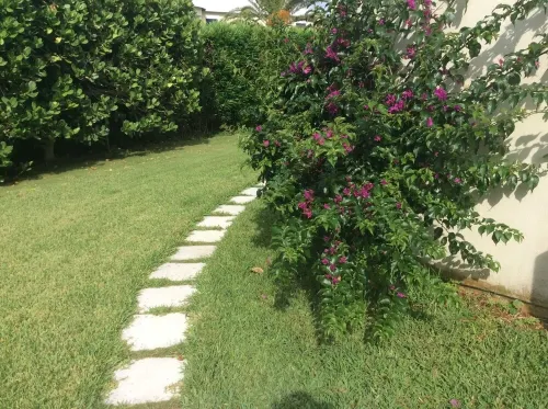 Las Brisas apartment with pool and walk to beach + EV chargers Hotels in Smith's