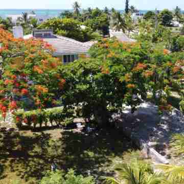 Lovely 1 bedroom, steps from the beach, car available Hotel Exterior