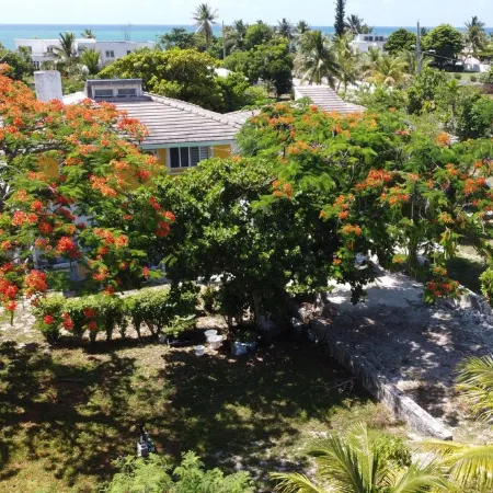 Lovely 1 bedroom, steps from the beach, car available