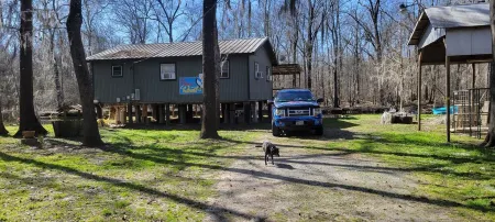 A rustic house on beautiful Caddo lake. Great fishing and kayaking and much more