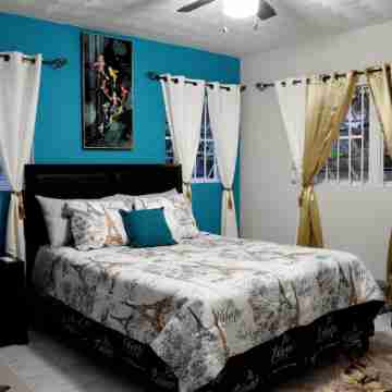 Beautifully Spacious 1BDR/ FREE PARKING Rooms