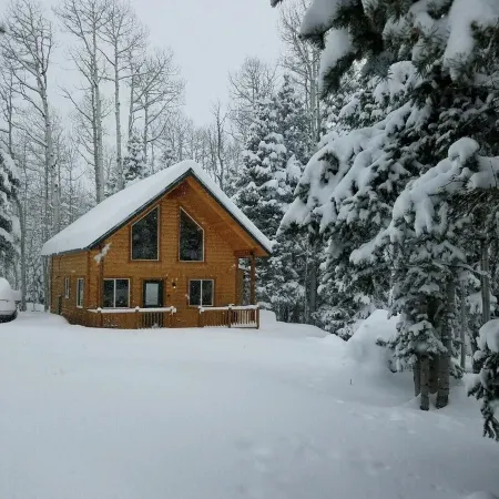 Cabin in the Pines surrounded by fun