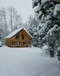 Cabin in the Pines surrounded by fun