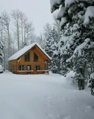 Cabin in the Pines surrounded by fun