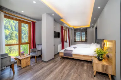 Ayder Palazzo Resort