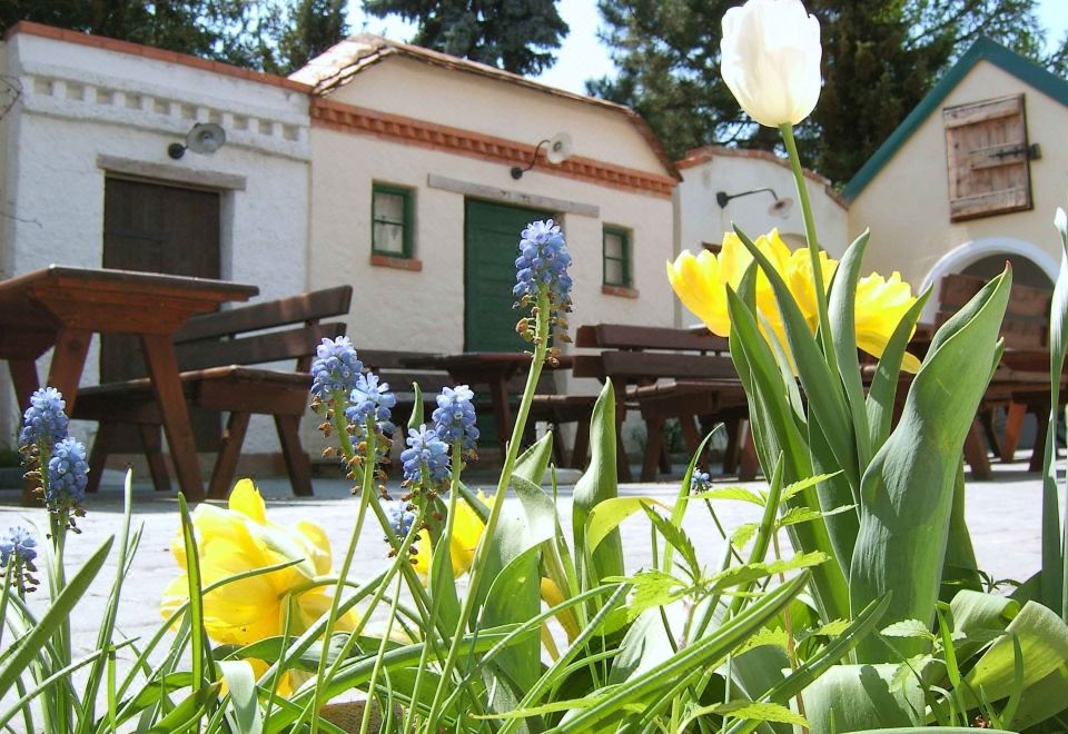 4. 한프탈-호프..