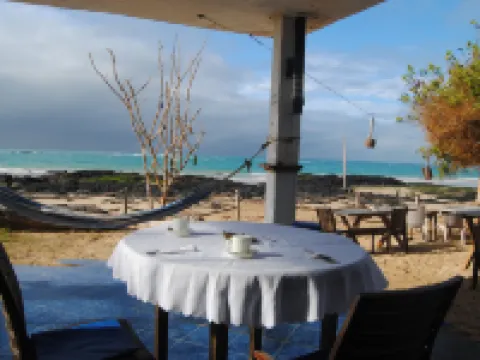 Hostal Galapagos by Bar de Beto Hoteles en Isla Isabela