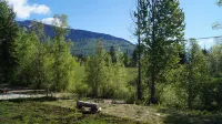 Mountain View Cabins