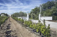 Pago de Tharsys Hotels in Requena-Utiel