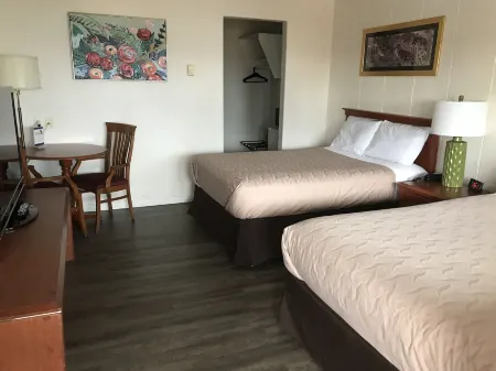 Value Lodge Motel Отели в г. Ледисмит