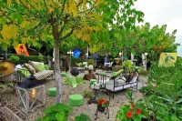 Logis Hôtel Hostellerie Saint-Jacques - Kylpylä