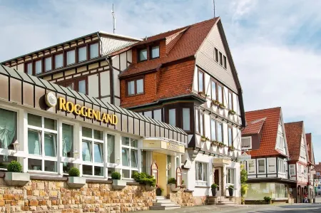 Ringhotel Roggenland Отели в г. Вальдек